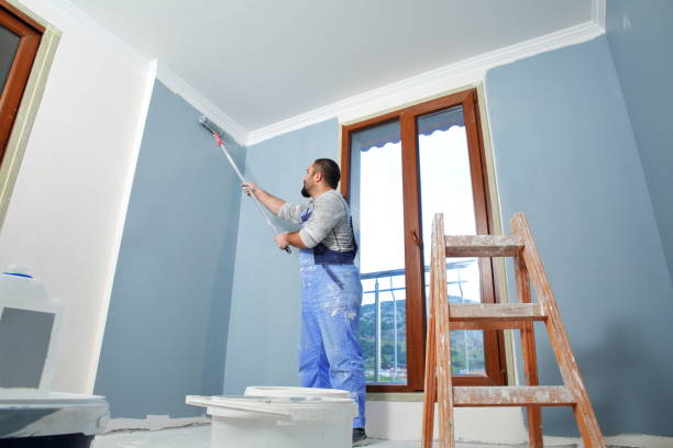 Best Mold-Related Health Consultation  in Palisades Park, NJ