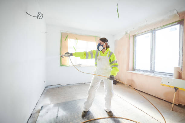 Reliable Palisades Park, NJ Mold Removal Solutions