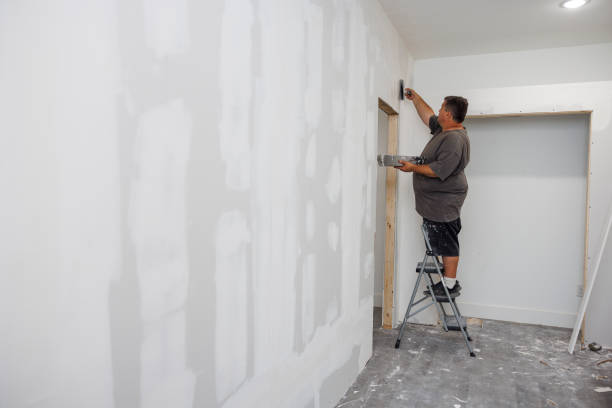 Best Mold Remediation for Healthcare Facilities  in Palisades Park, NJ