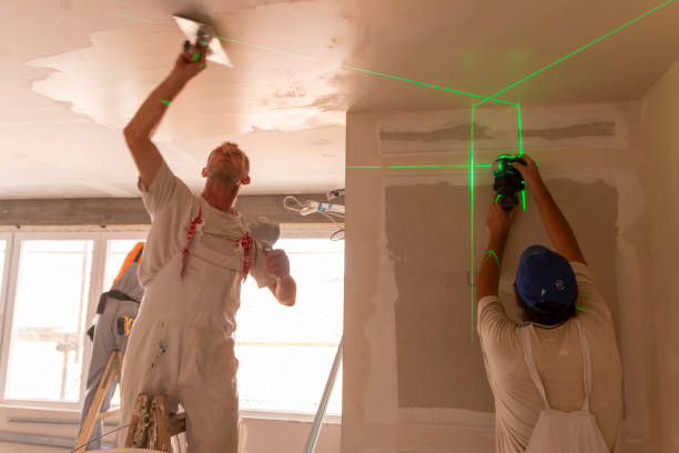 Best Environmental Consulting for Mold Prevention  in Palisades Park, NJ