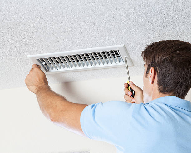 Best Air Quality Testing for Mold Spores  in Palisades Park, NJ