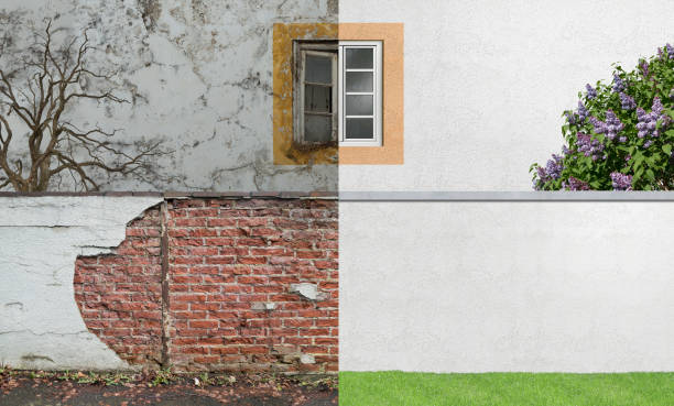 Best Forensic Mold Investigation  in Palisades Park, NJ