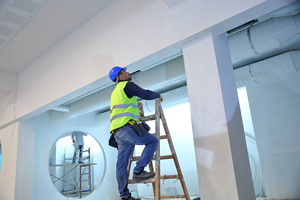 Best Asbestos and Lead Testing During Mold Inspection  in Palisades Park, NJ